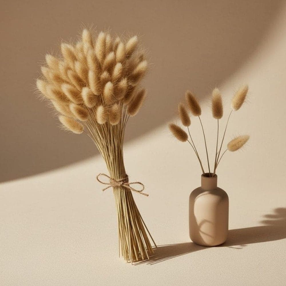 Lagurus Pods