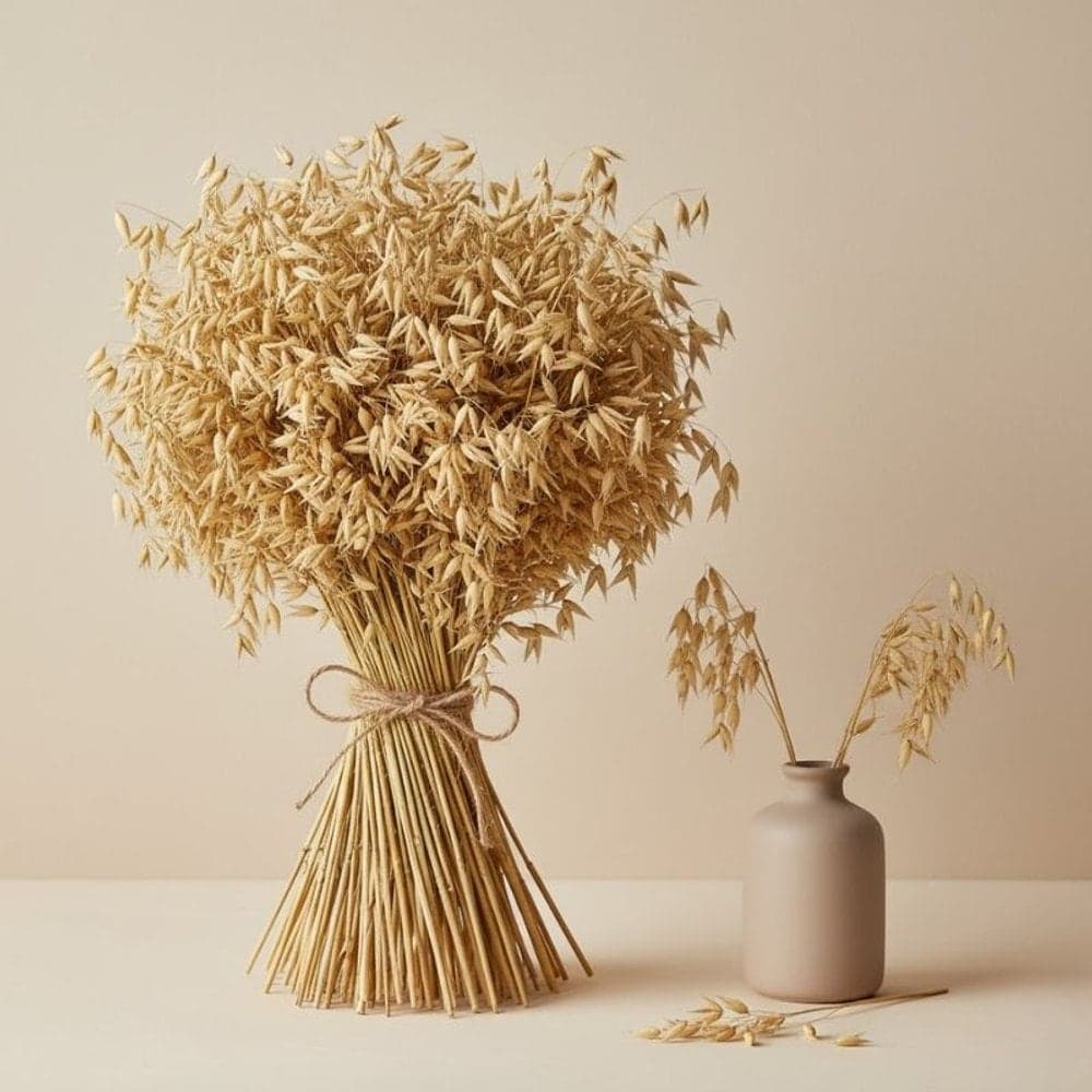 Oats Bunch