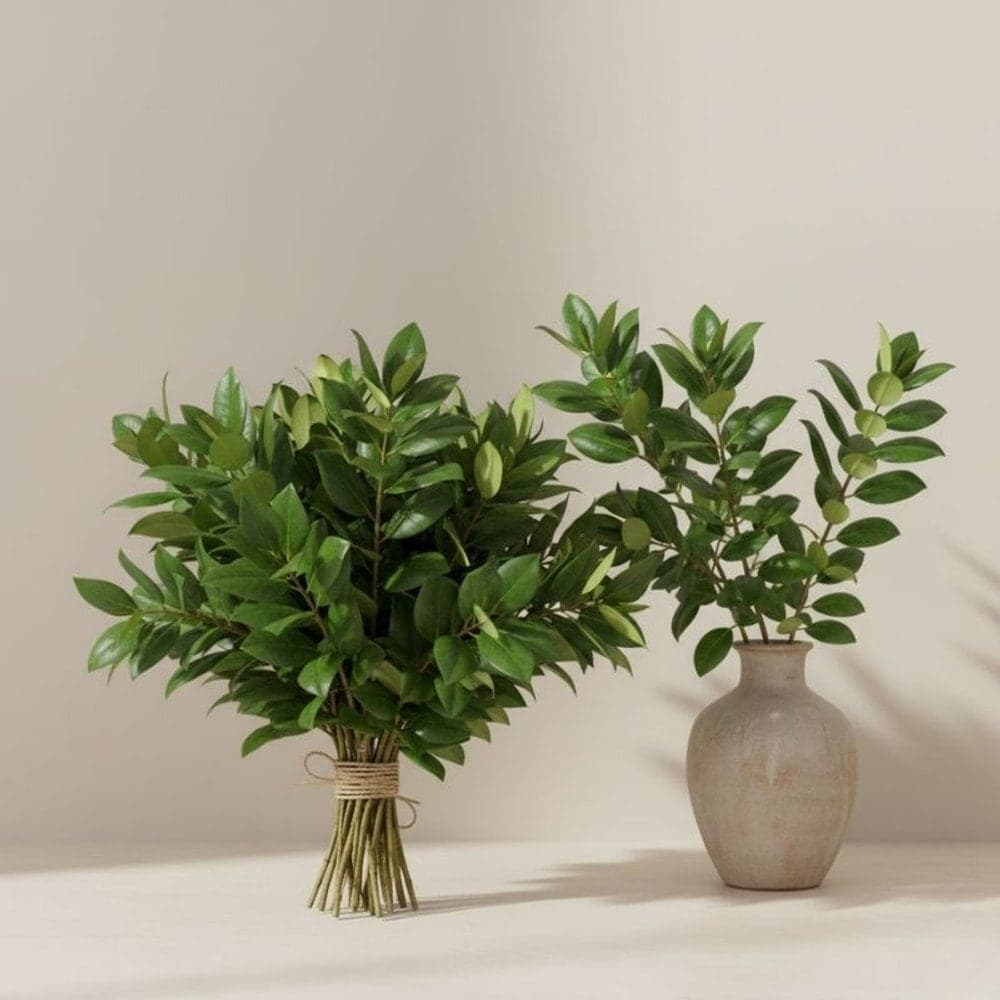 Salal Leaves